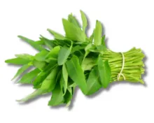 Danish Full Cream Milk